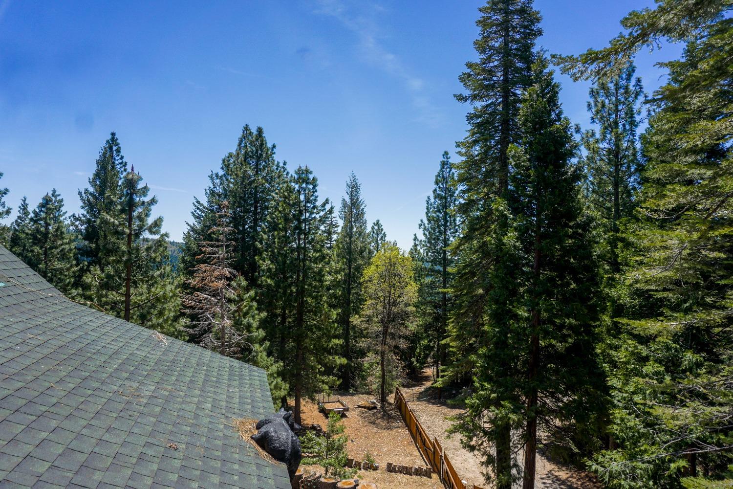 Detail Gallery Image 66 of 81 For 10671 Lowell Hill Rd, Nevada City,  CA 95959 - 3 Beds | 2/1 Baths