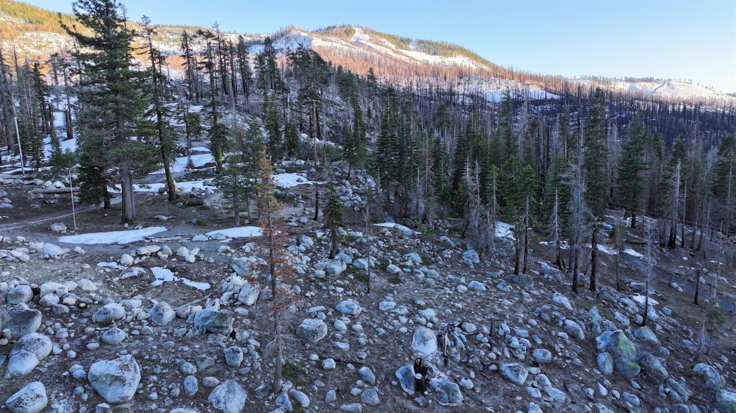 Huckleberry Heights Road, Echo Lake, California image 14
