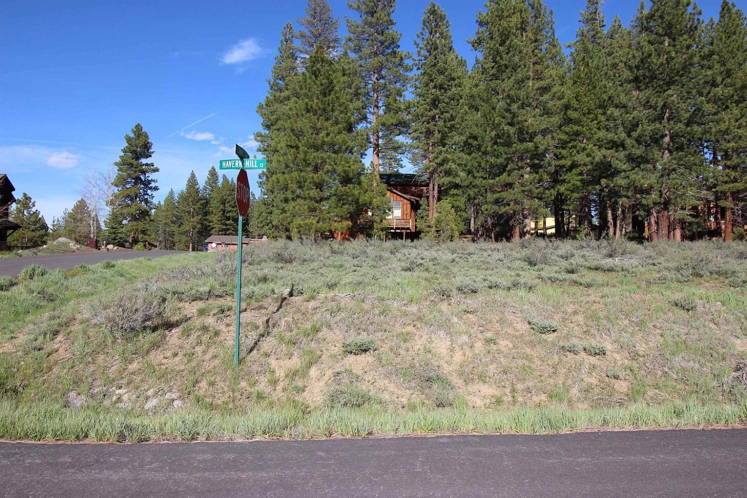 Detail Gallery Image 14 of 16 For 16311 Havern Hill Ct, Truckee,  CA 96161 - – Beds | – Baths