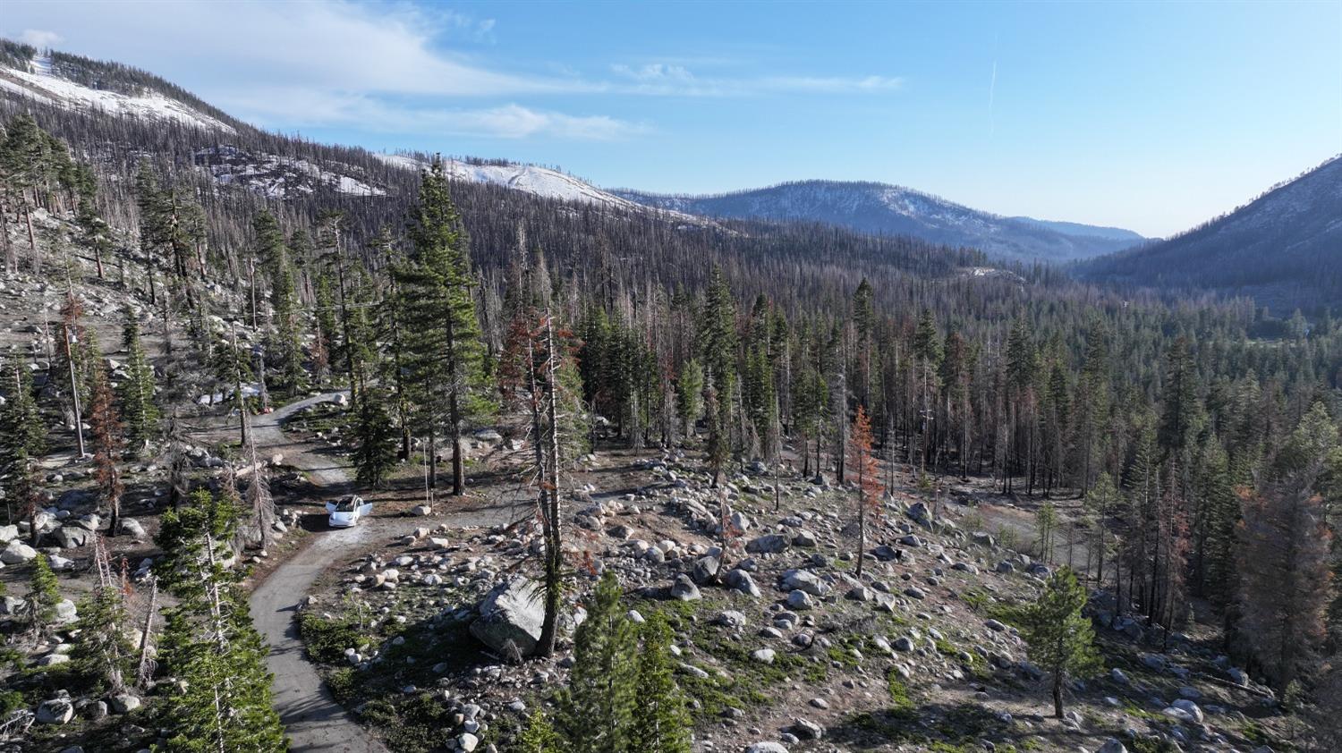 Huckleberry Heights Road, Echo Lake, California image 5