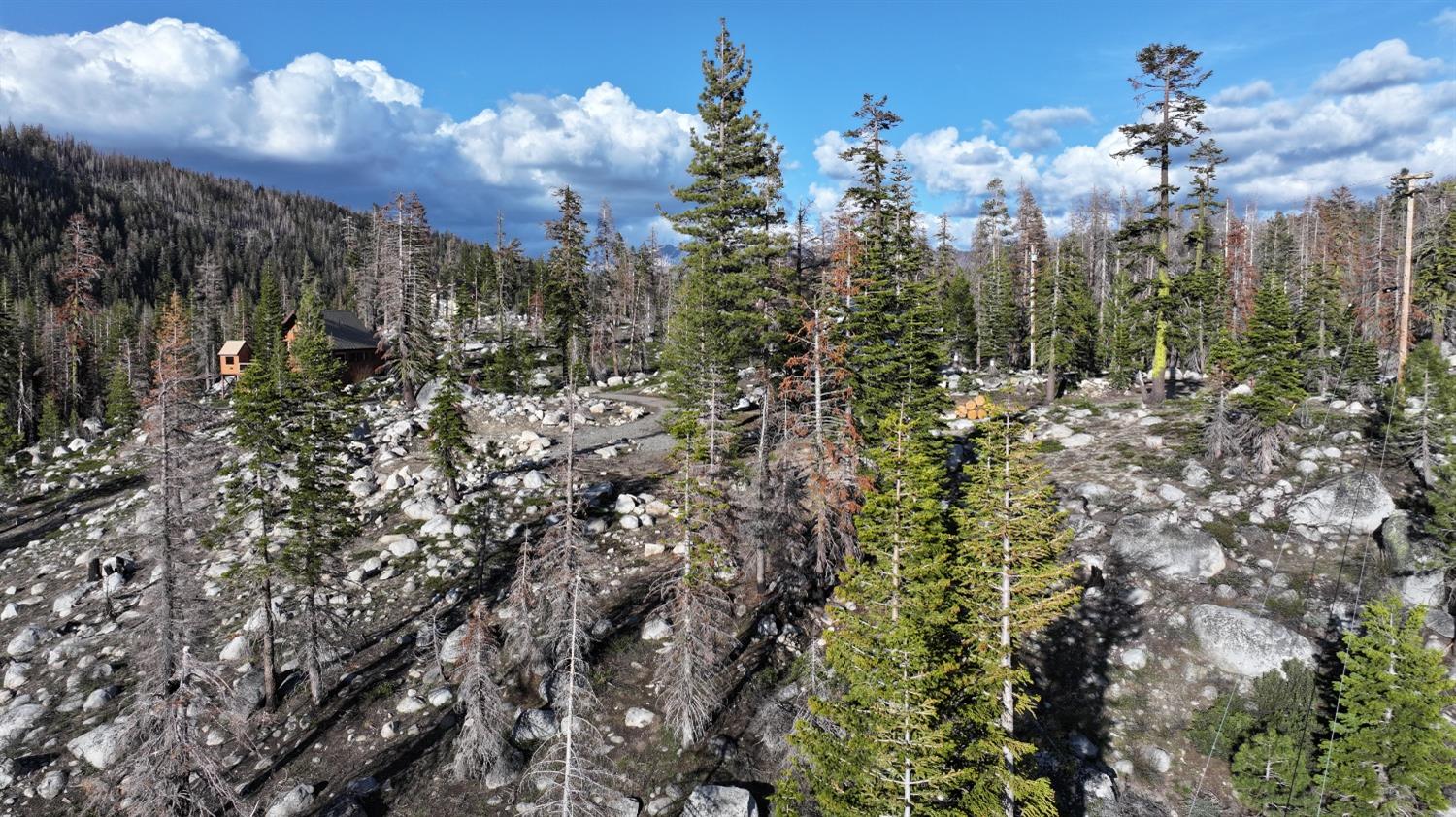 Huckleberry Heights Road, Echo Lake, California image 28