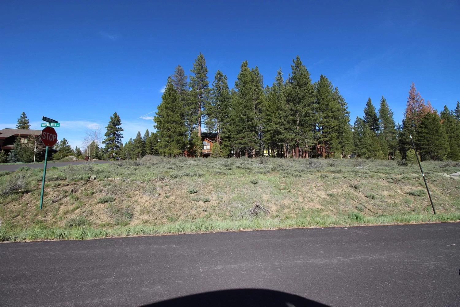 Detail Gallery Image 15 of 16 For 16311 Havern Hill Ct, Truckee,  CA 96161 - – Beds | – Baths