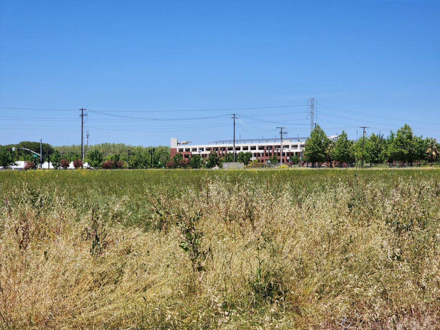 Shasta Avenue, Elk Grove, California image 9