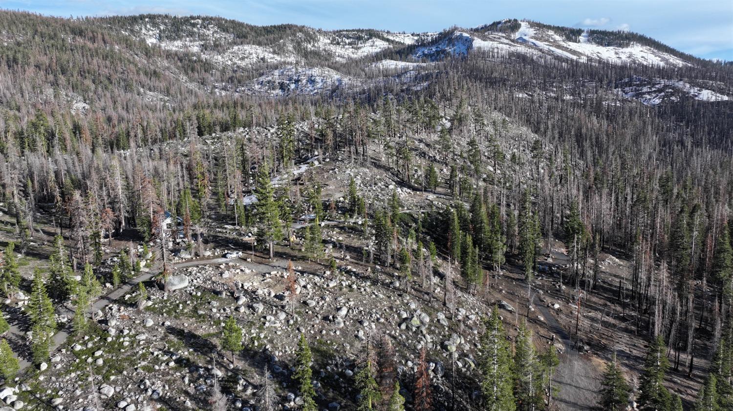 Huckleberry Heights Road, Echo Lake, California image 13