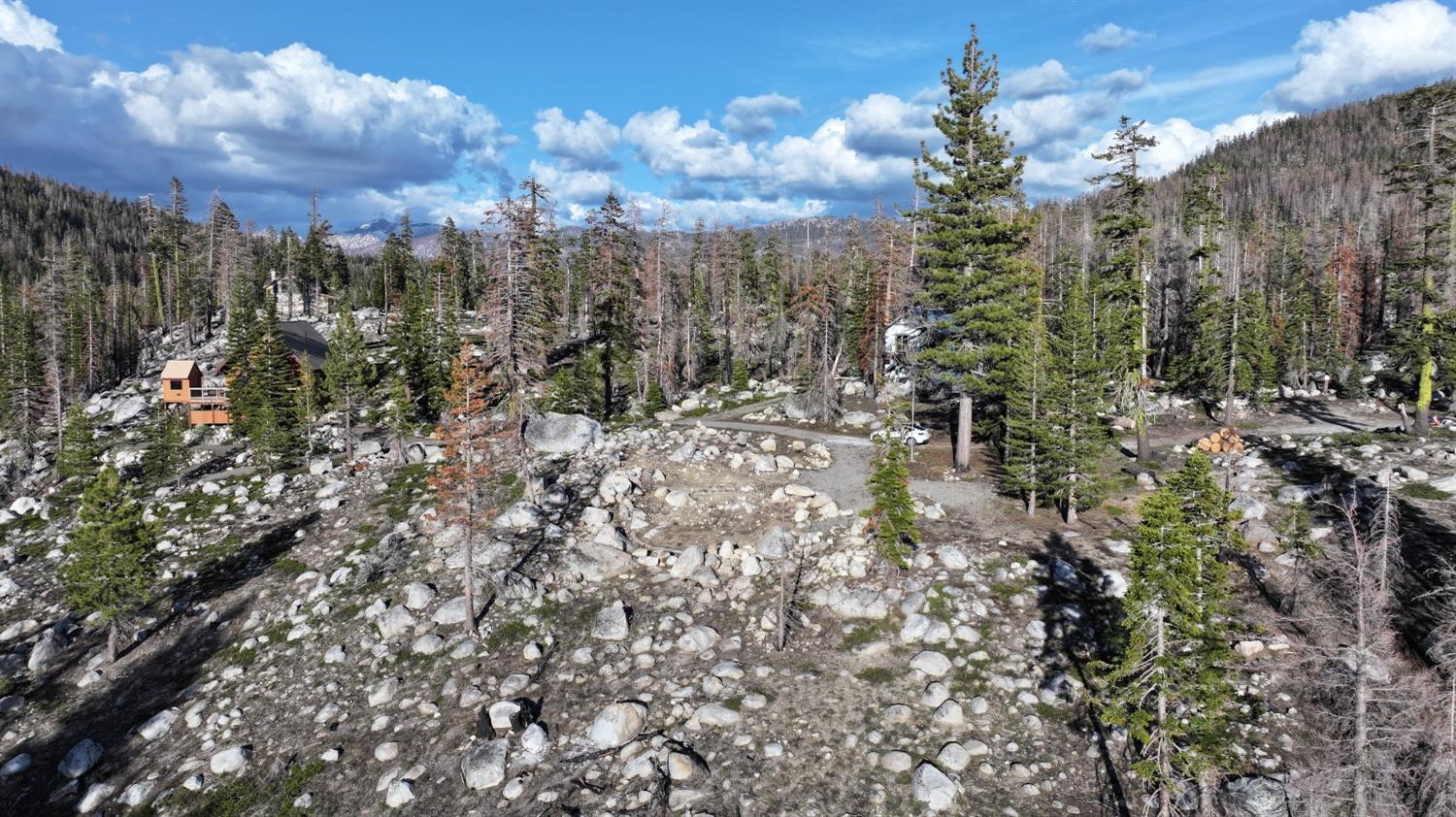 Huckleberry Heights Road, Echo Lake, California image 26