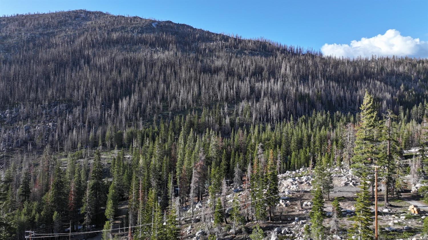 Huckleberry Heights Road, Echo Lake, California image 30