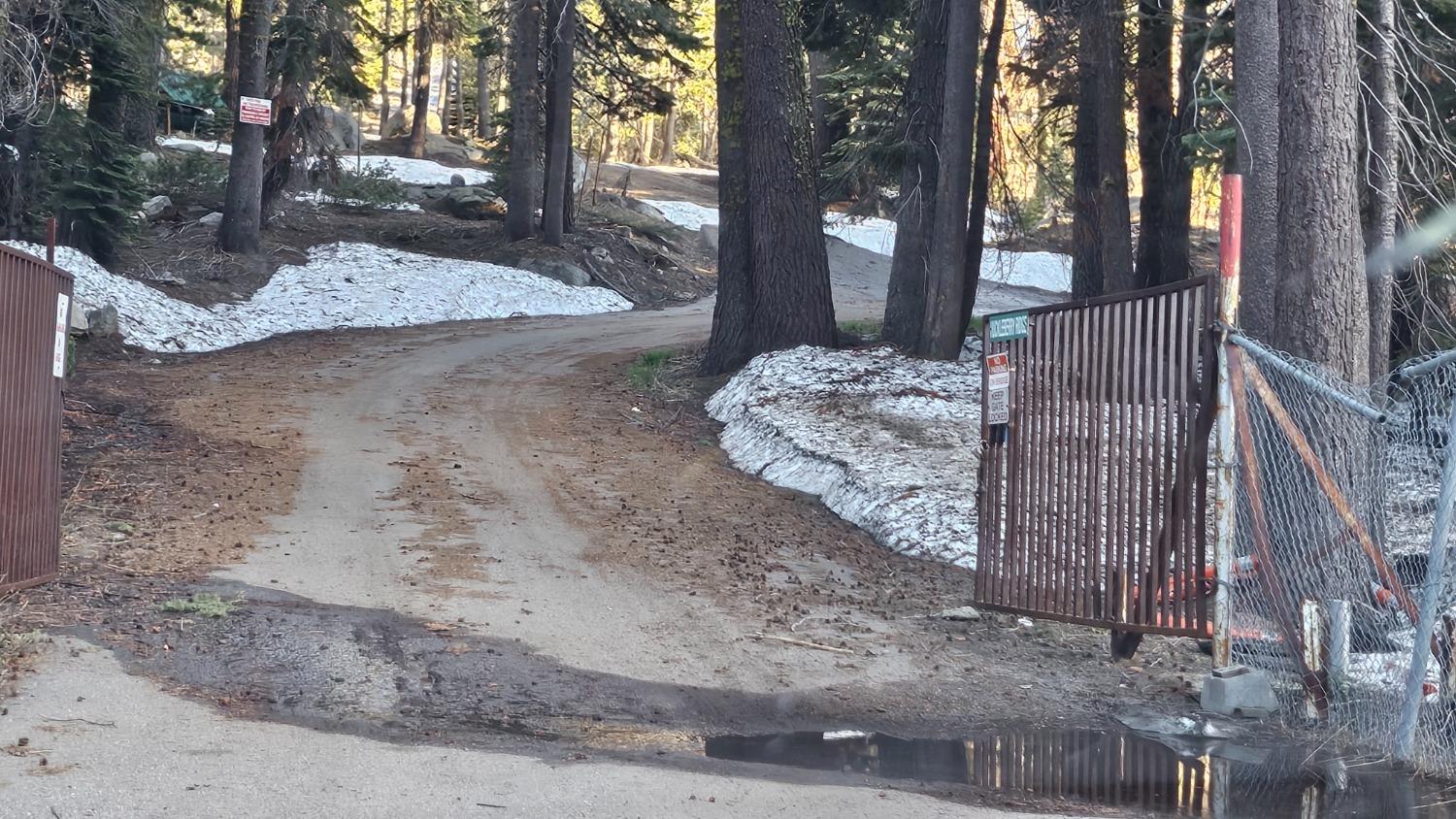 Huckleberry Heights Road, Echo Lake, California image 50