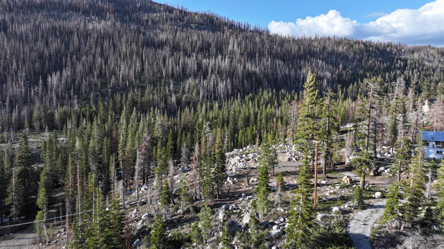 Huckleberry Heights Road, Echo Lake, California image 29