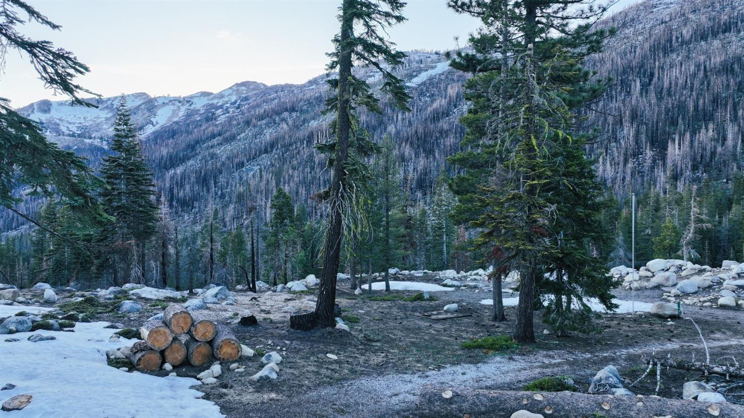 Huckleberry Heights Road, Echo Lake, California image 15