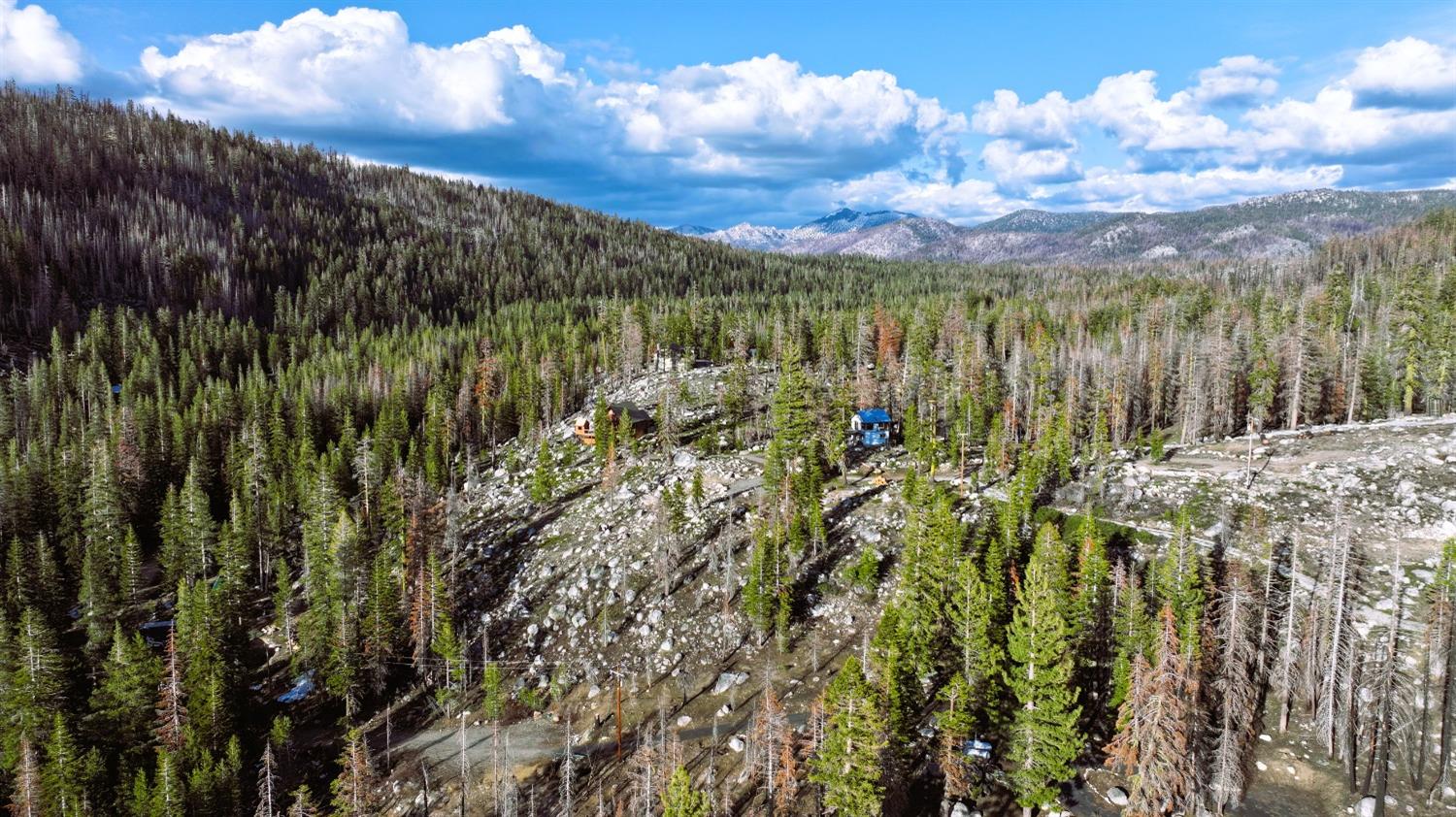 Huckleberry Heights Road, Echo Lake, California image 9