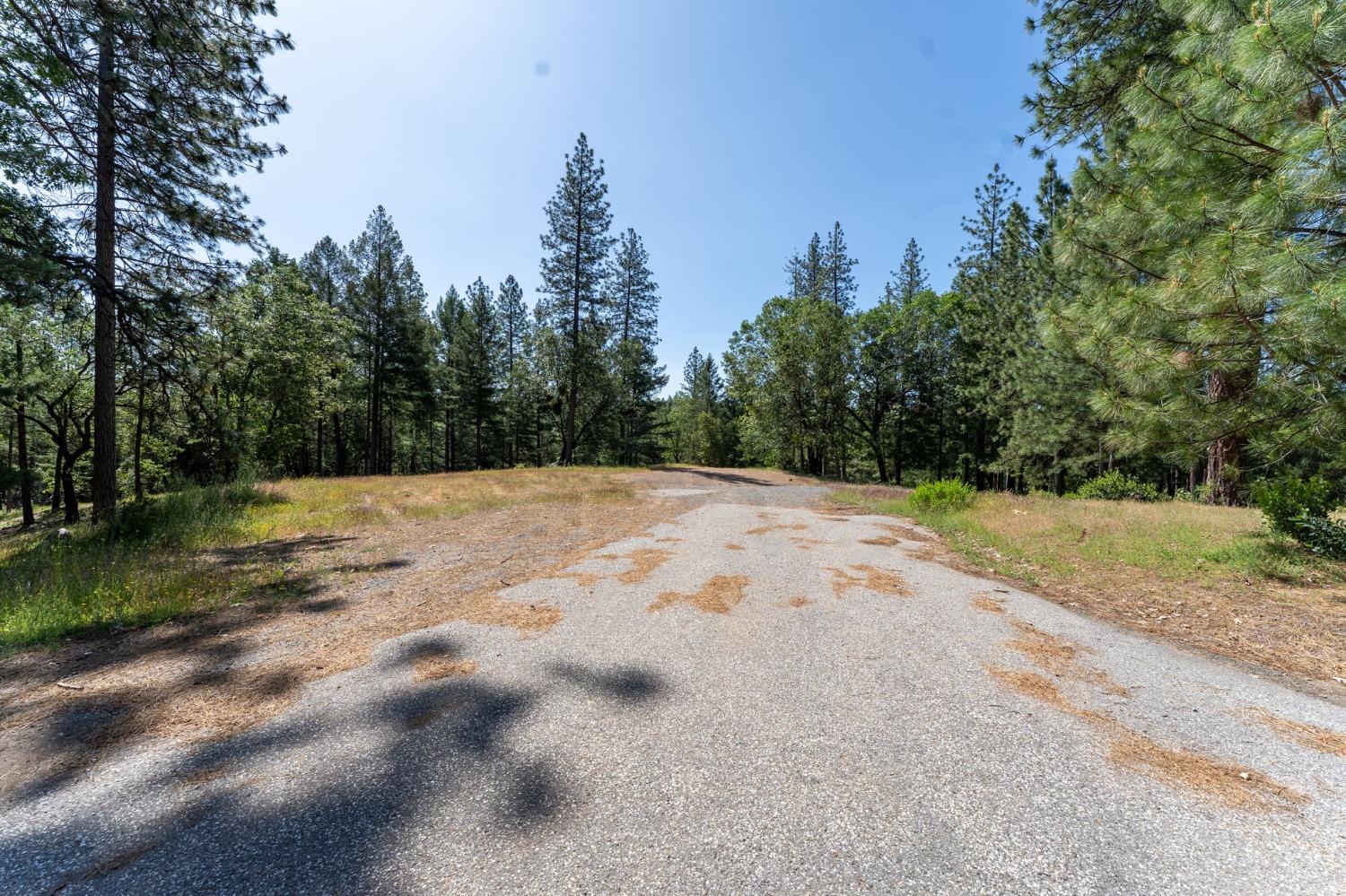 Alton Trl, Foresthill, California image 14