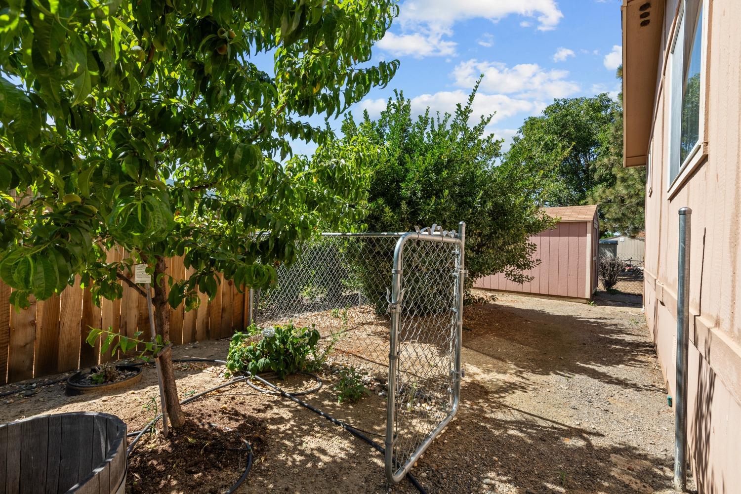 Detail Gallery Image 26 of 40 For 1155 Pease Rd 431, Yuba City,  CA 95991 - 3 Beds | 2 Baths