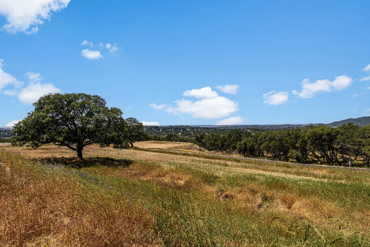 Detail Gallery Image 18 of 23 For 1800 via Veritas, El Dorado Hills,  CA 95762 - – Beds | – Baths