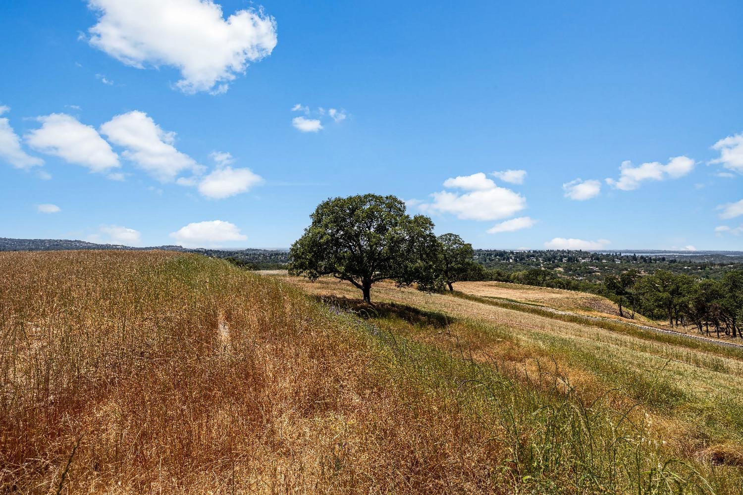 Detail Gallery Image 19 of 23 For 1800 via Veritas, El Dorado Hills,  CA 95762 - – Beds | – Baths