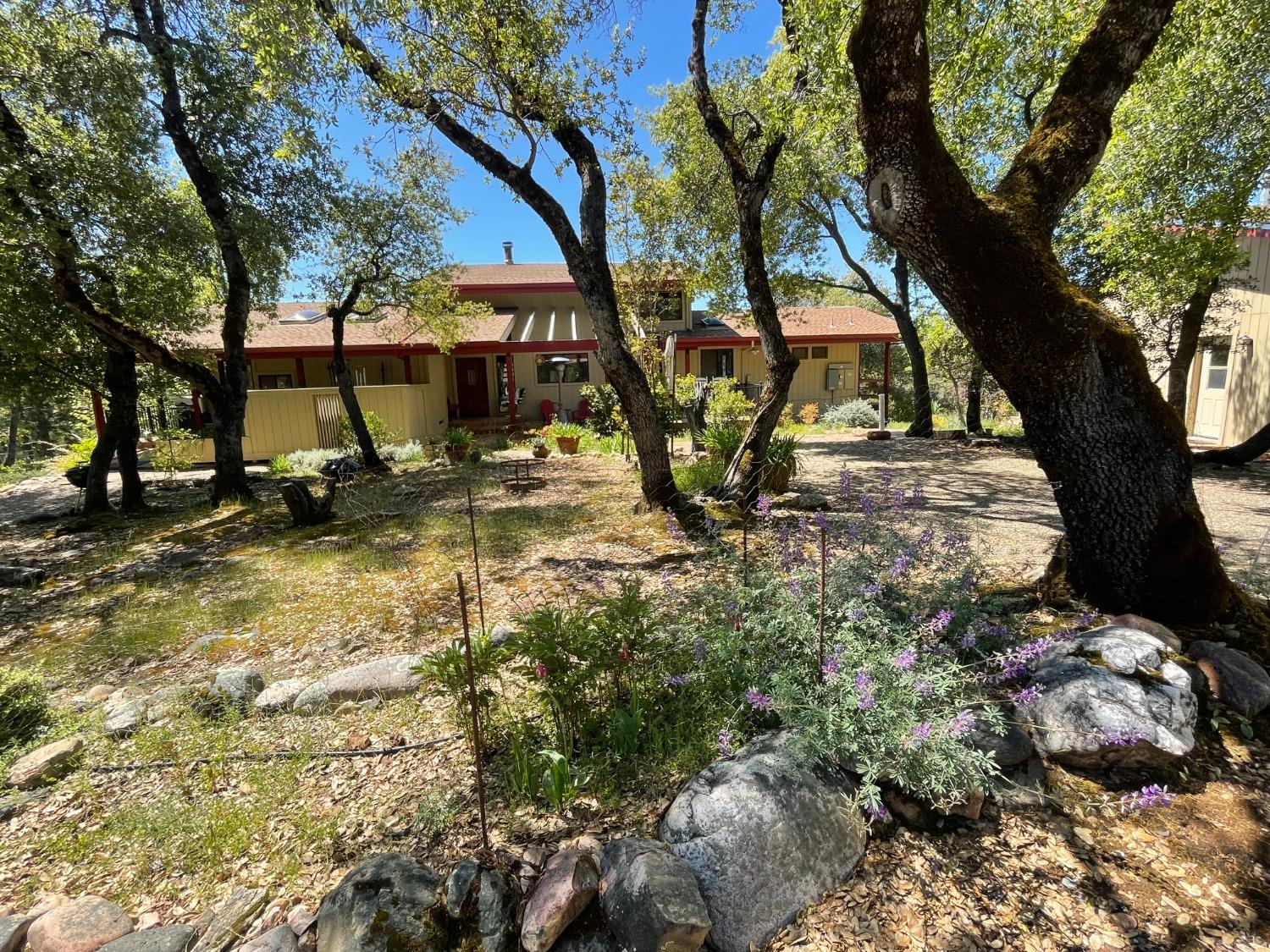 Detail Gallery Image 69 of 83 For 9870 Sheep Ranch Rd, Mountain Ranch,  CA 95246 - 3 Beds | 3 Baths