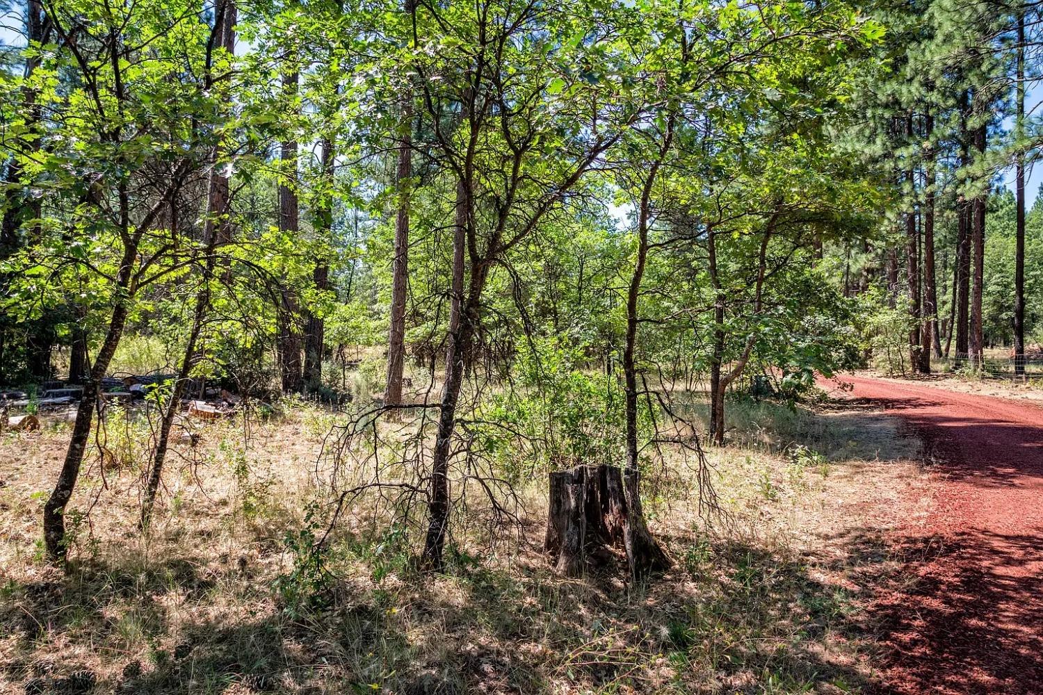 Old Brown Ranch Rd, McArthur, California image 11