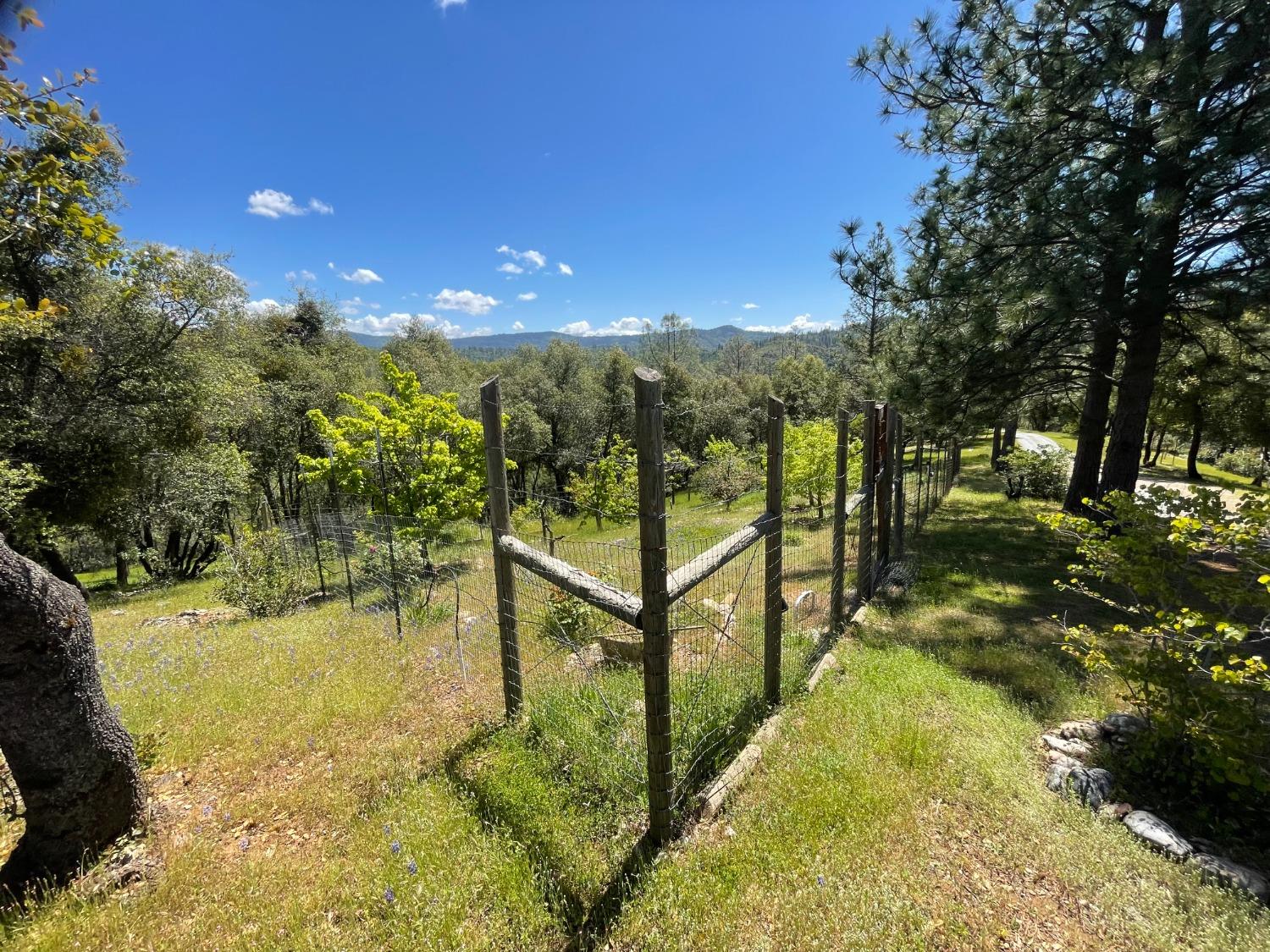 Detail Gallery Image 75 of 83 For 9870 Sheep Ranch Rd, Mountain Ranch,  CA 95246 - 3 Beds | 3 Baths