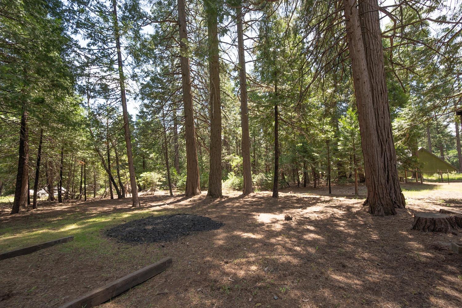 Detail Gallery Image 11 of 36 For 4129 Sugar Pine, Pollock Pines,  CA 95726 - 3 Beds | 2 Baths