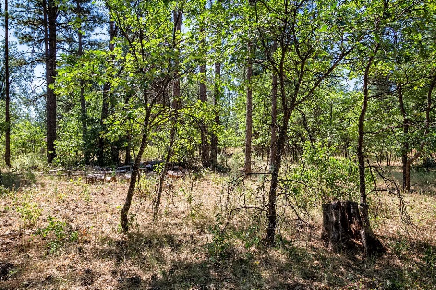 Old Brown Ranch Rd, McArthur, California image 10