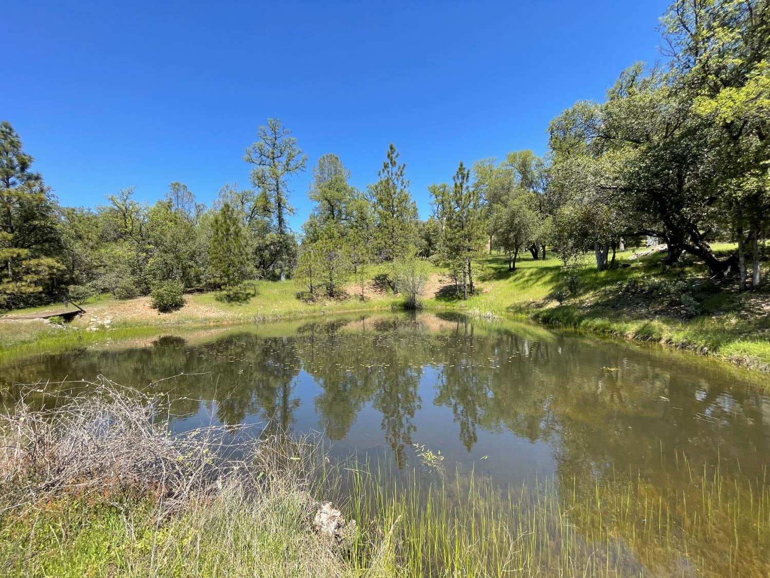 Detail Gallery Image 82 of 83 For 9870 Sheep Ranch Rd, Mountain Ranch,  CA 95246 - 3 Beds | 3 Baths