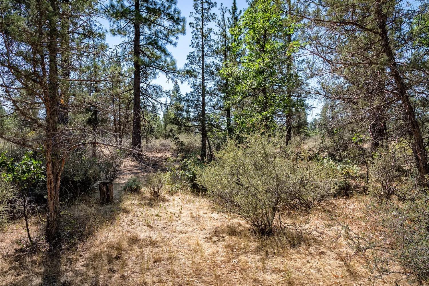 Old Brown Ranch Rd, McArthur, California image 8