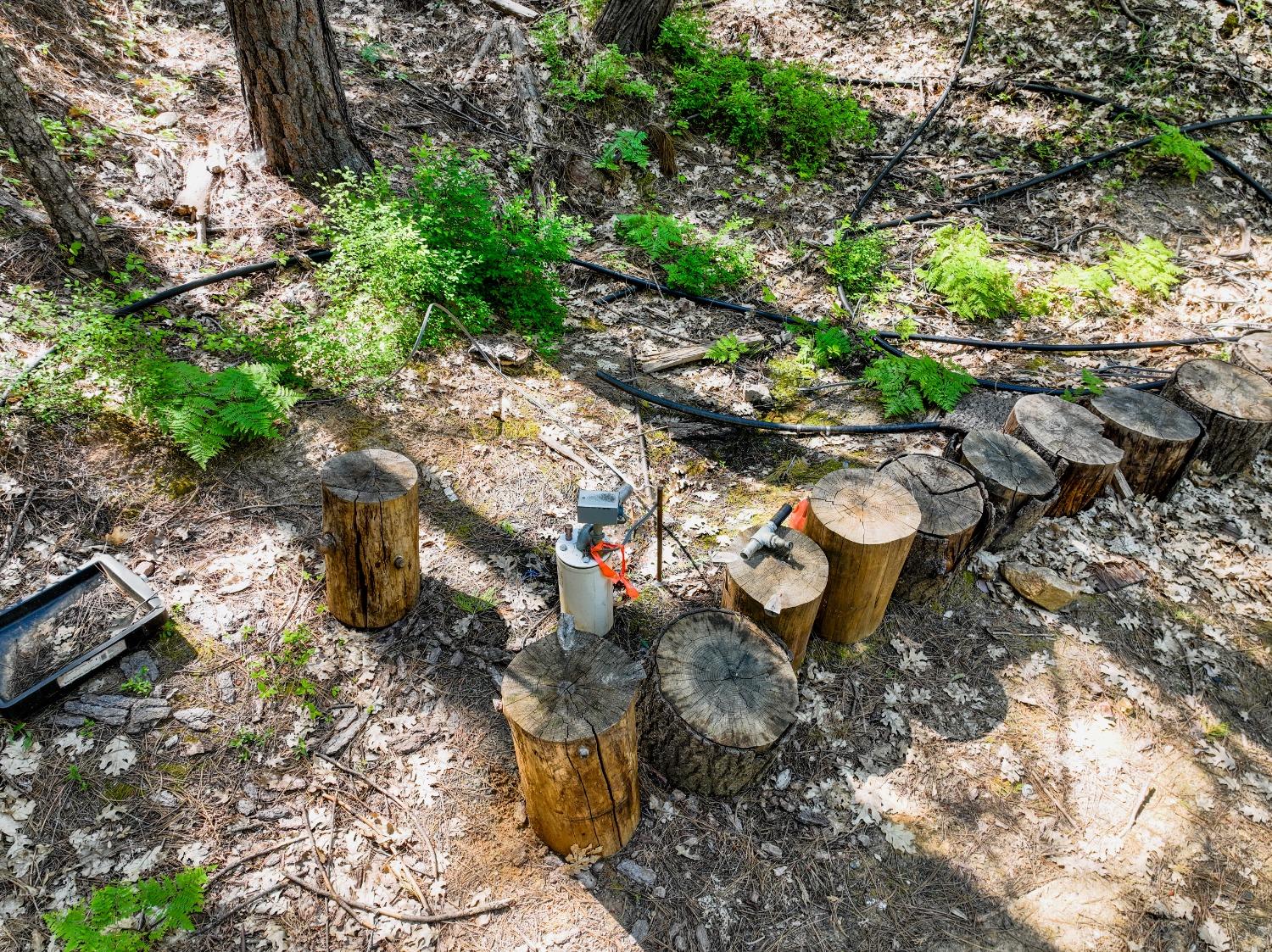 Detail Gallery Image 7 of 26 For 15575 Buckeye Rd, Nevada City,  CA 95959 - 1 Beds | 1 Baths