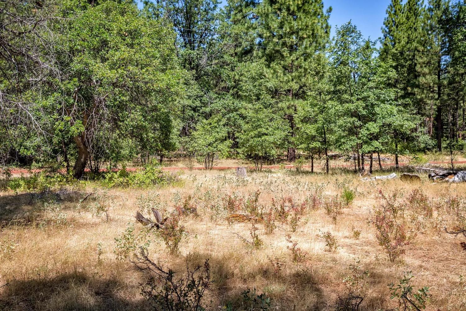 Old Brown Ranch Rd, McArthur, California image 1