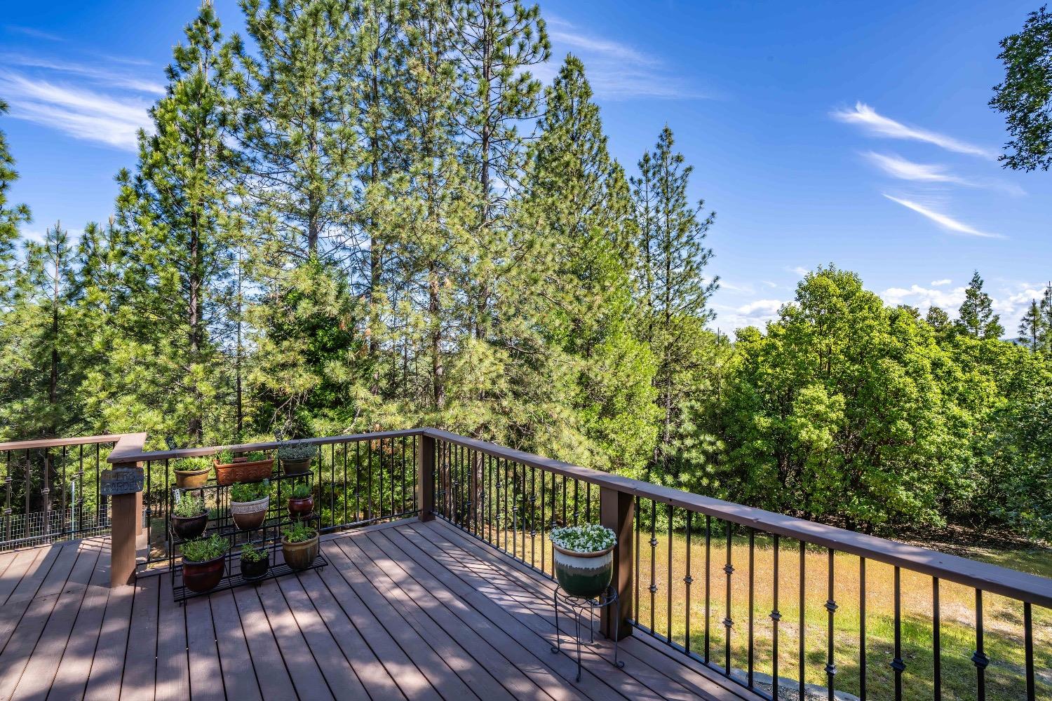 Detail Gallery Image 30 of 63 For 14955 Ponderosa Way, Pine Grove,  CA 95665 - 3 Beds | 2 Baths
