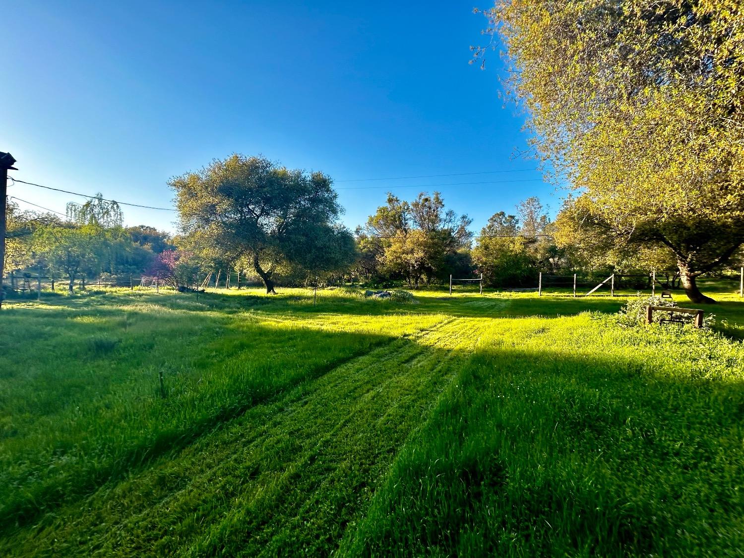 Homestead Road, Rescue, California image 6