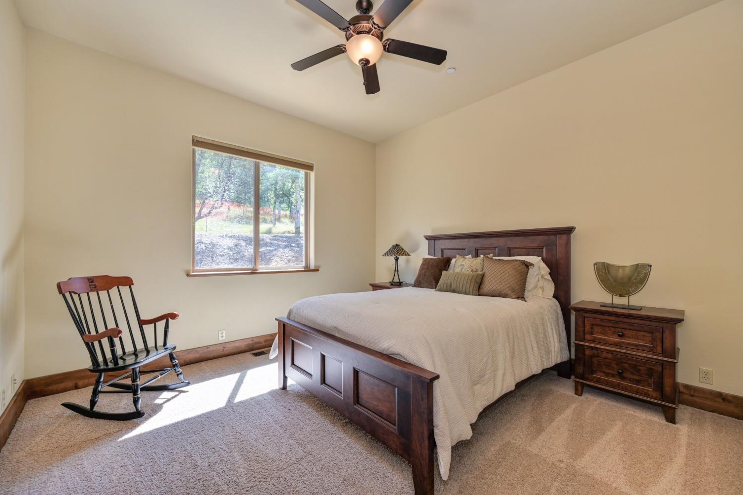 Detail Gallery Image 38 of 59 For 15255 Woodmont Ln, Meadow Vista,  CA 95722 - 4 Beds | 3/1 Baths