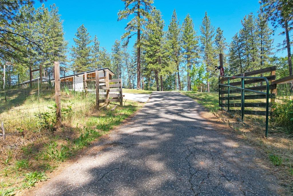 Detail Gallery Image 2 of 42 For 700 Hi Pines Ranch Rd, Colfax,  CA 95713 - 0 Beds | 1 Baths