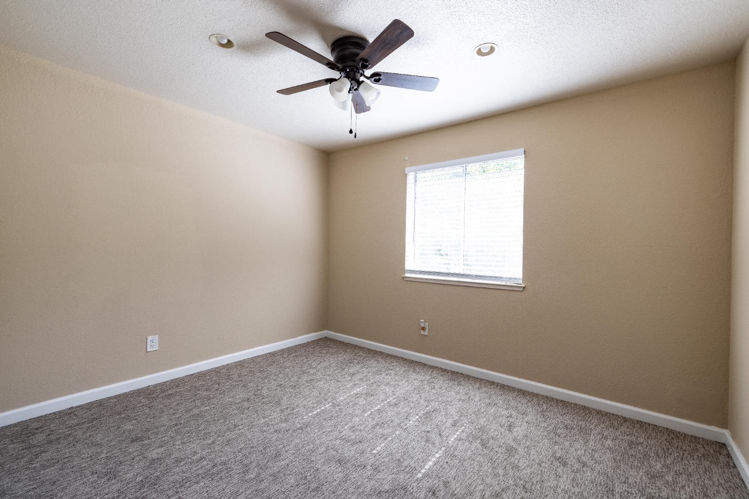 Photo #8: 224054609 Listing 