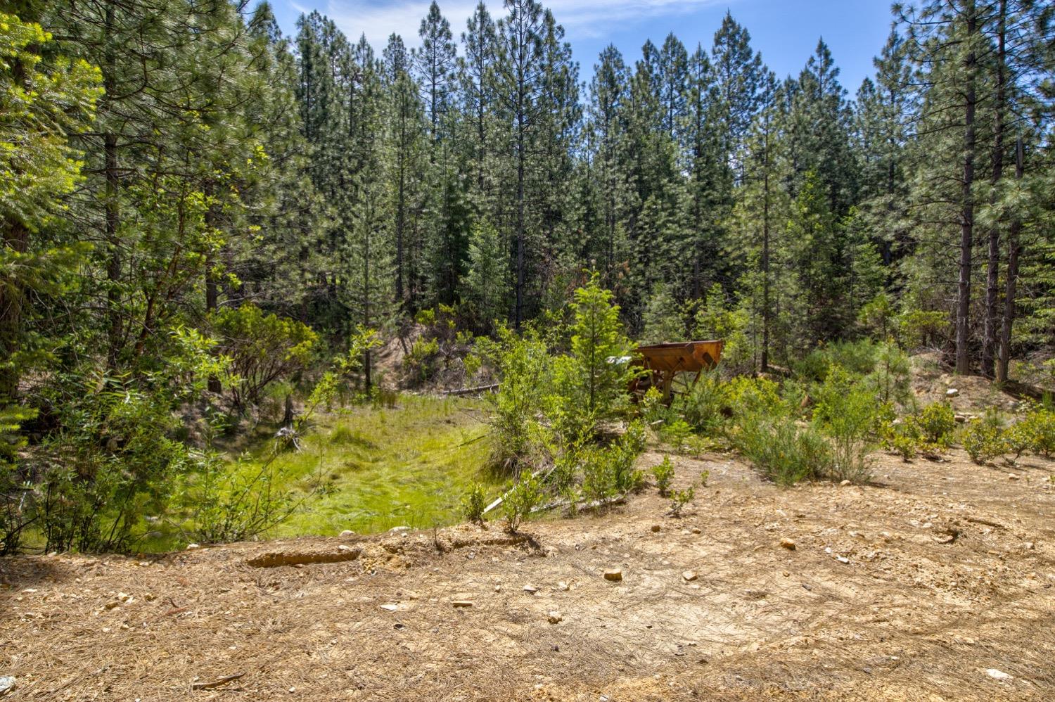 Kentucky Flat Road, Georgetown, California image 38