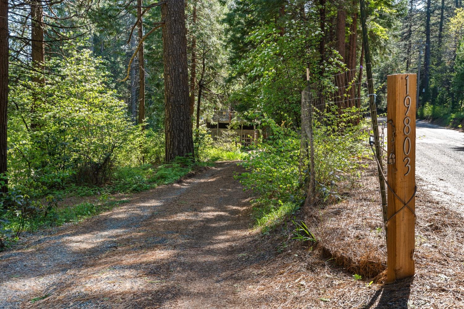 Detail Gallery Image 53 of 82 For 19803 Cooper Road, Nevada City,  CA 95959 - 2 Beds | 2 Baths