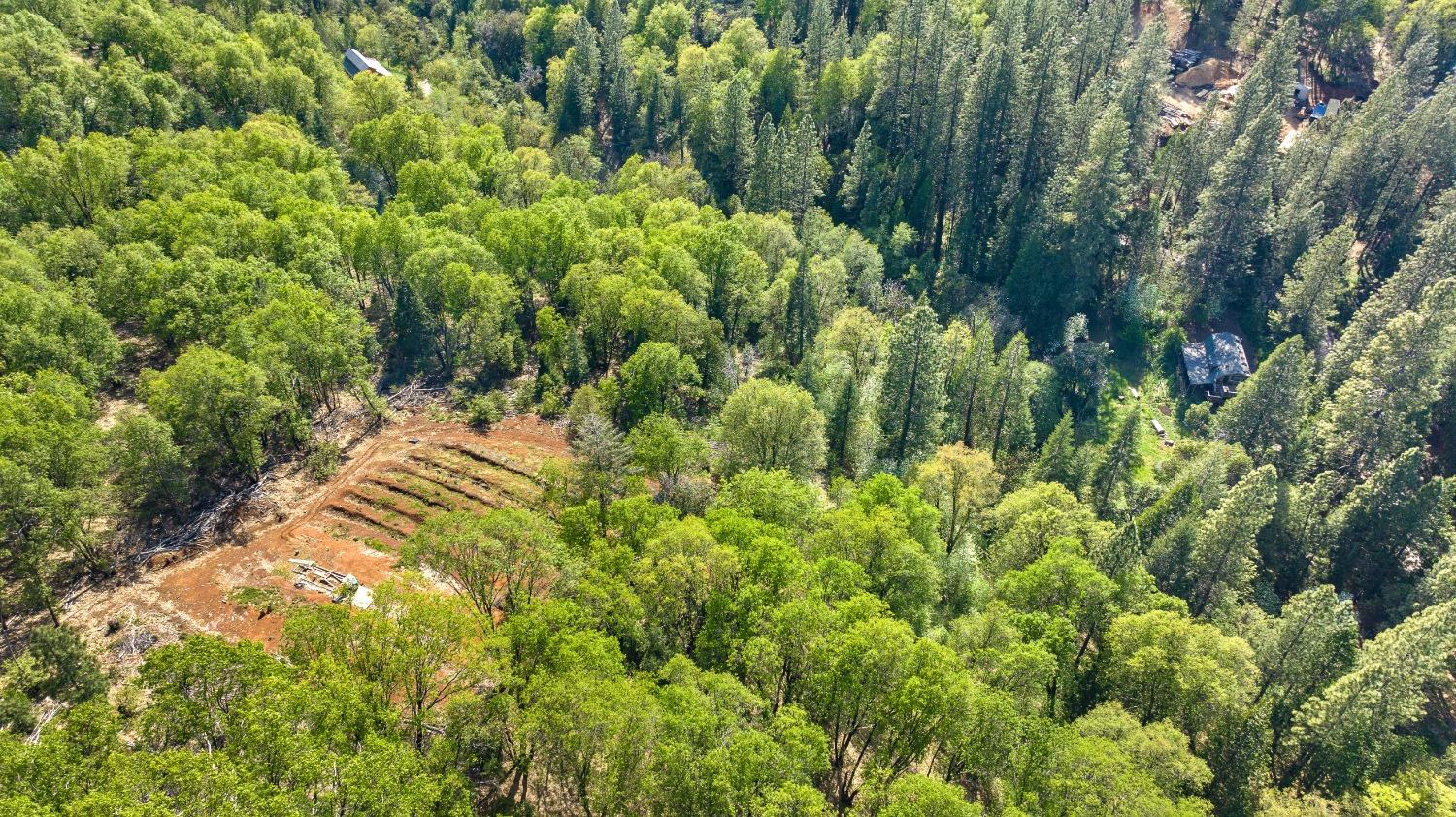 Detail Gallery Image 35 of 82 For 19803 Cooper Road, Nevada City,  CA 95959 - 1 Beds | 2 Baths