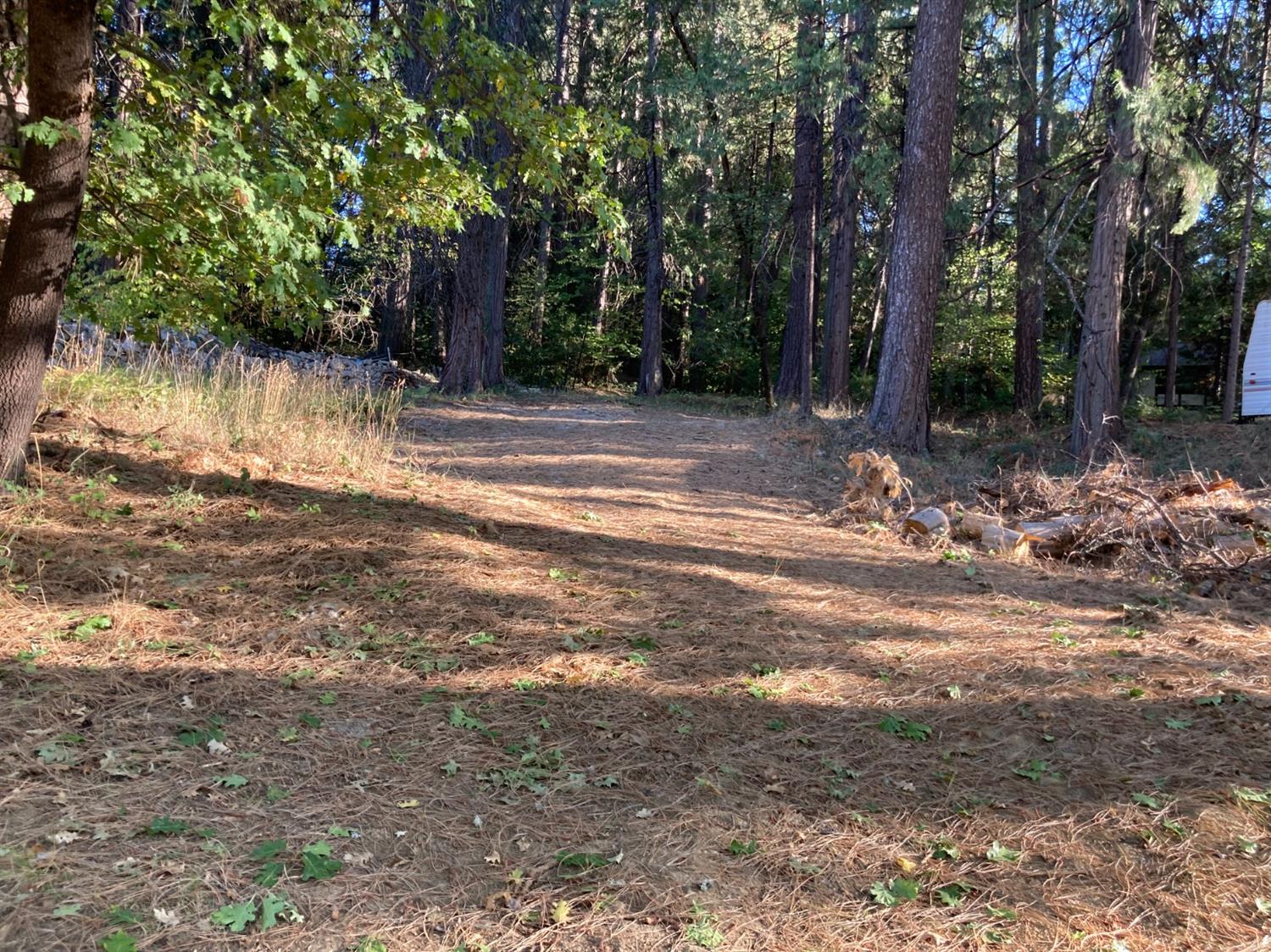 Silva Avenue, Nevada City, California image 3