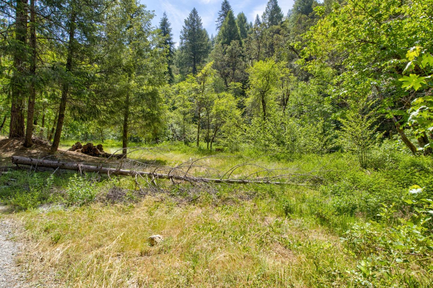 Kentucky Flat Road, Georgetown, California image 9