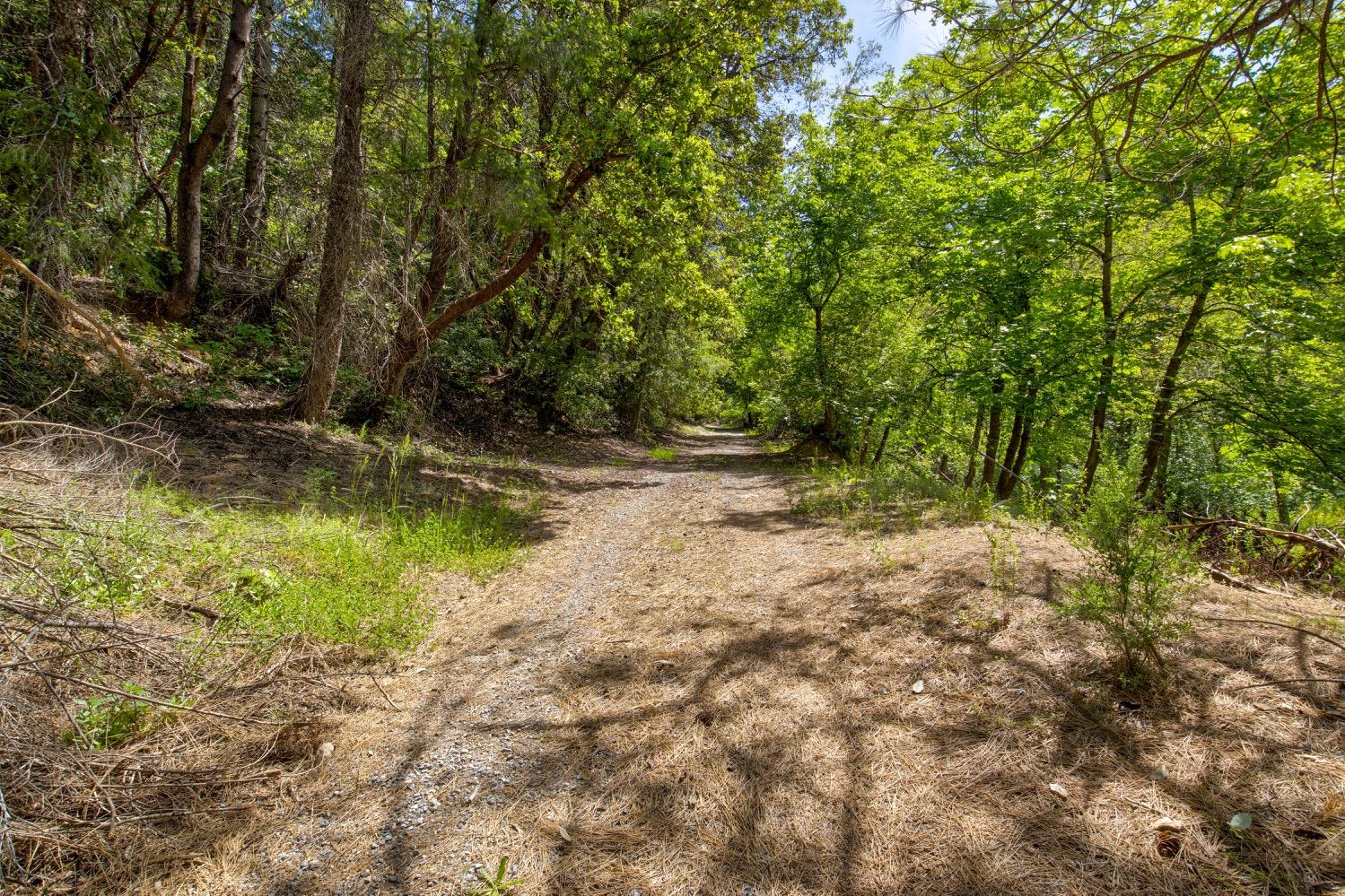 Kentucky Flat Road, Georgetown, California image 12