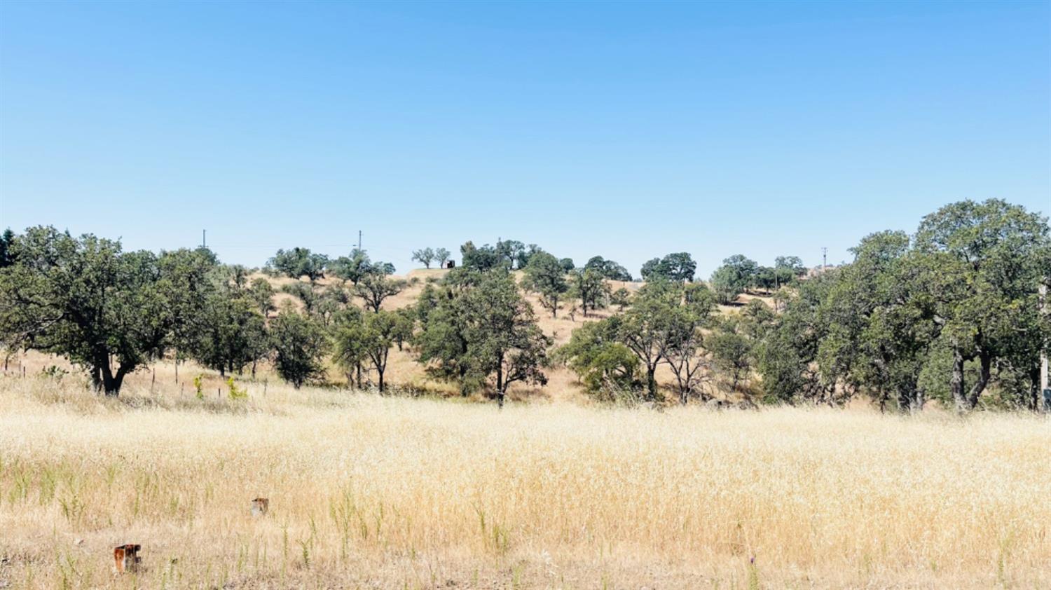 Pepito Drive, Tuolumne, California image 1