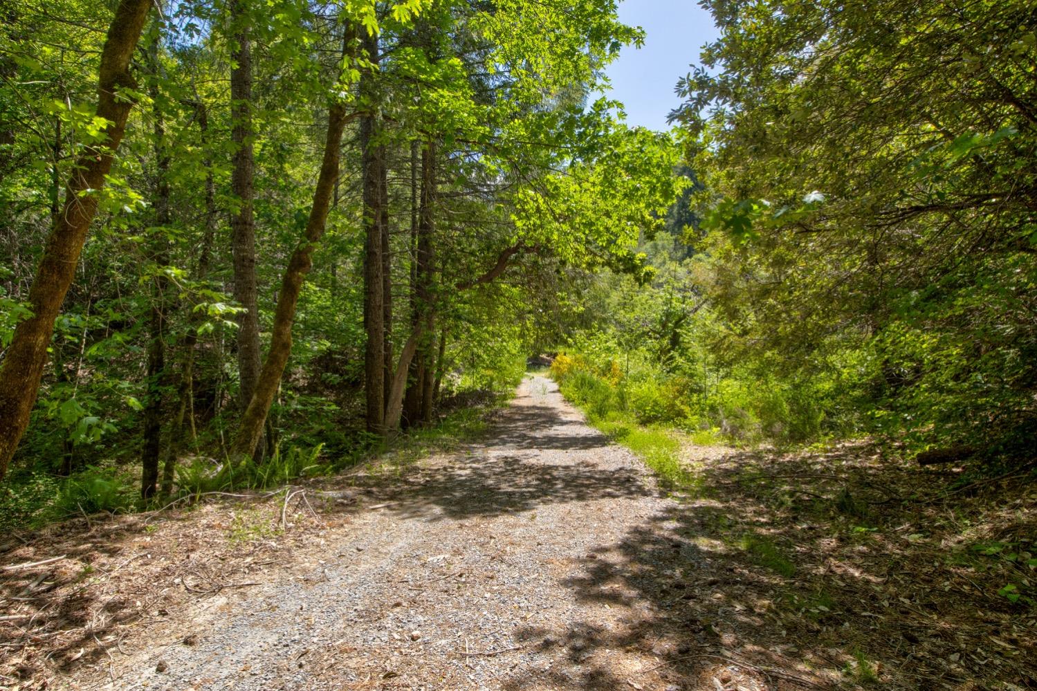 Kentucky Flat Road, Georgetown, California image 6