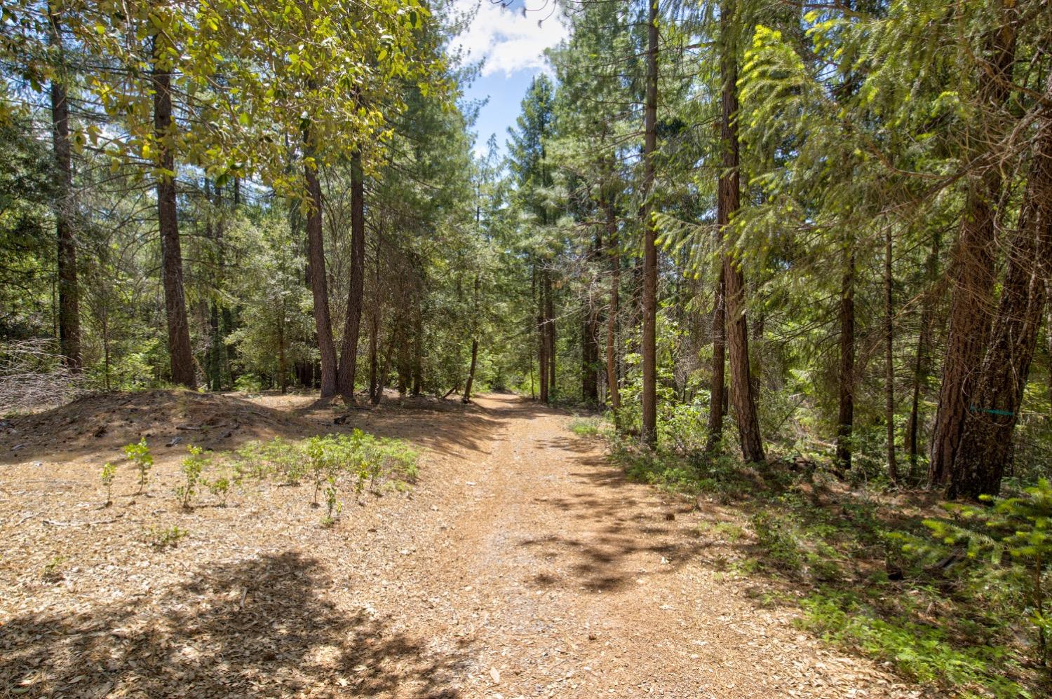 Kentucky Flat Road, Georgetown, California image 17