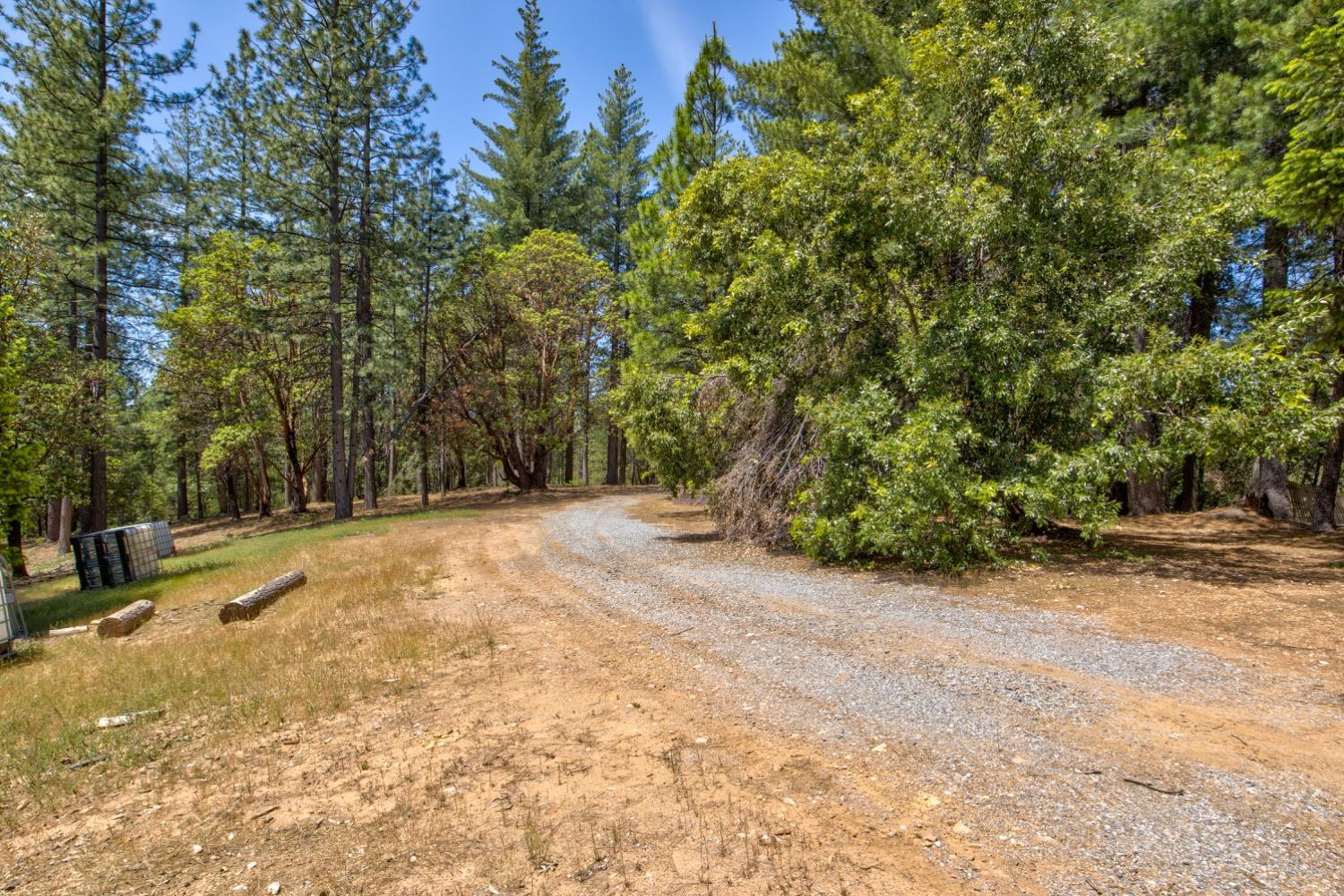 Kentucky Flat Road, Georgetown, California image 21