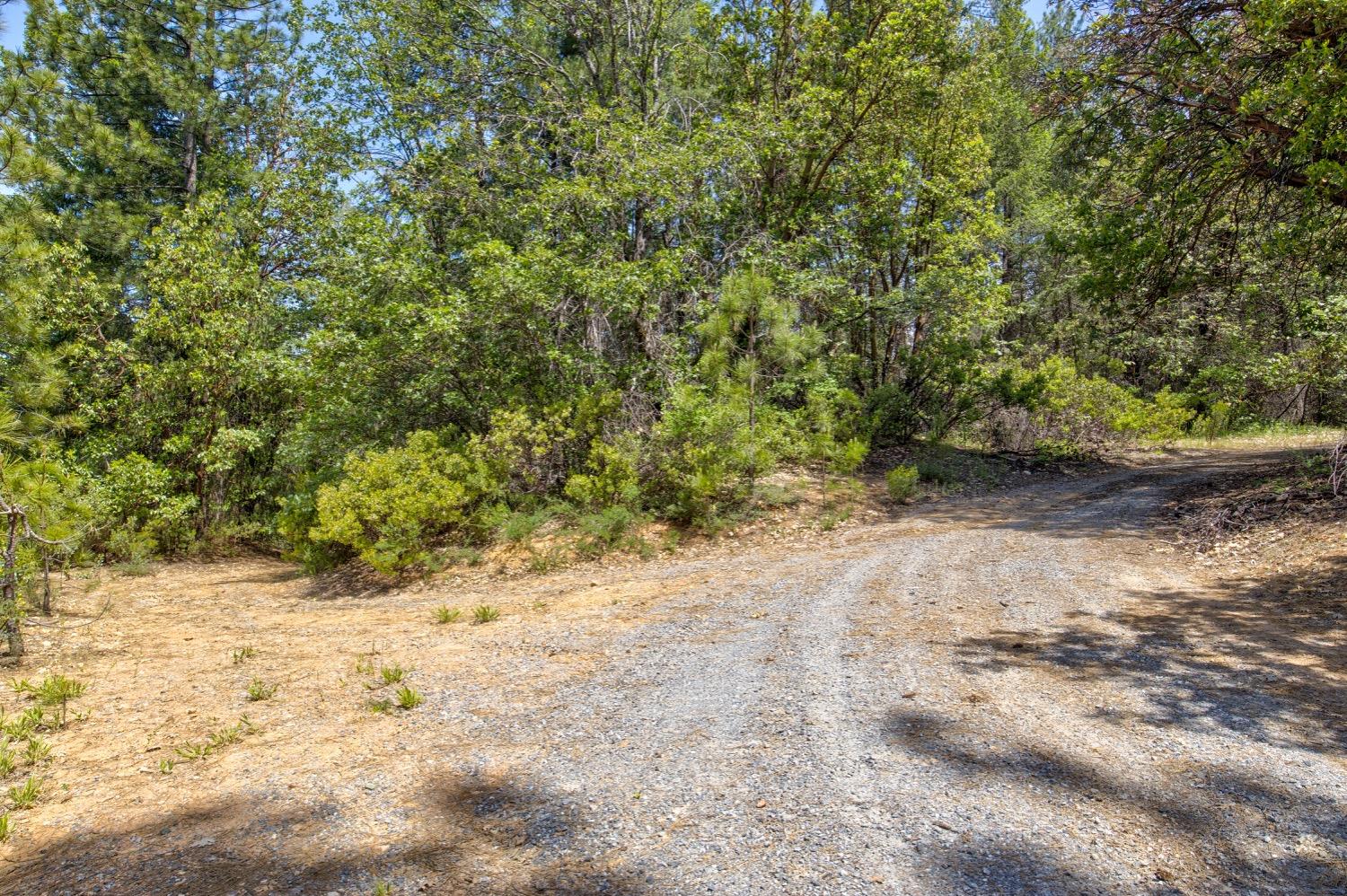 Kentucky Flat Road, Georgetown, California image 14