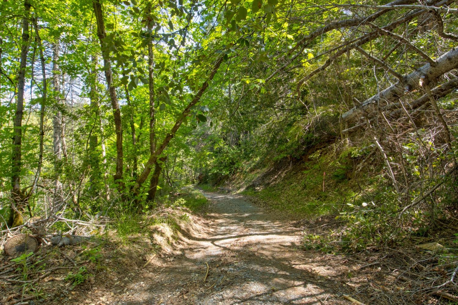 Kentucky Flat Road, Georgetown, California image 5