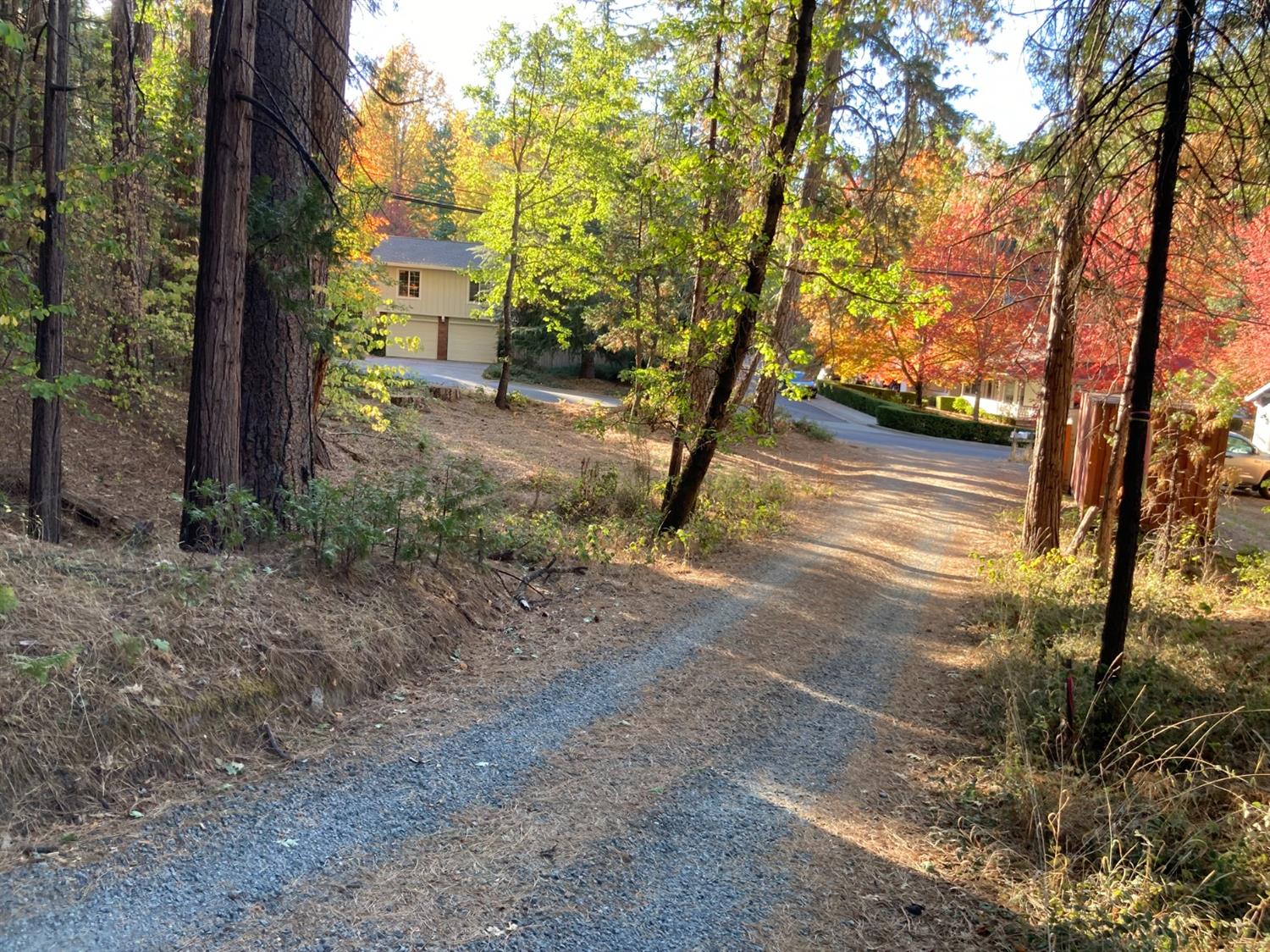 Silva Avenue, Nevada City, California image 2