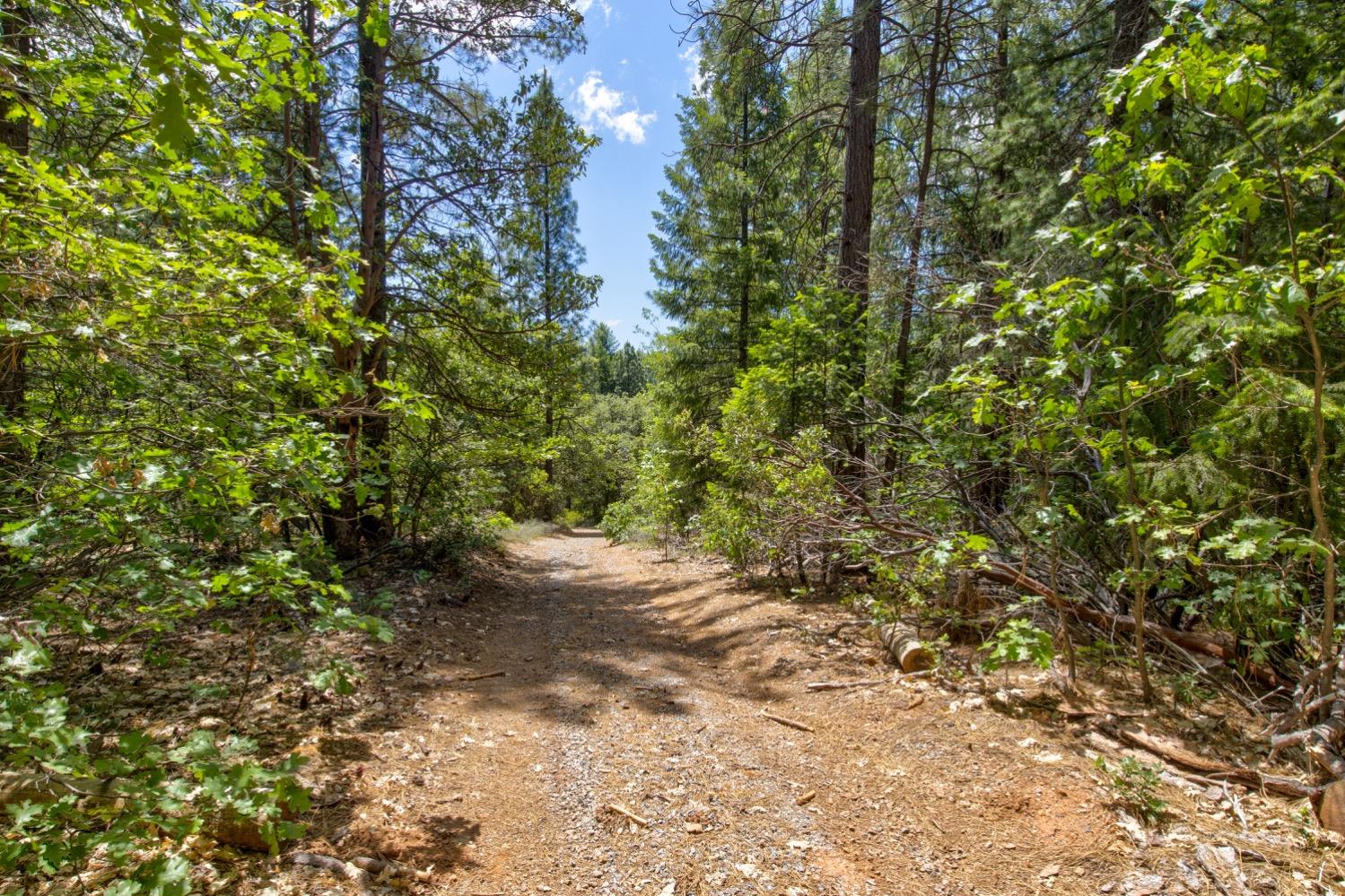 Kentucky Flat Road, Georgetown, California image 16