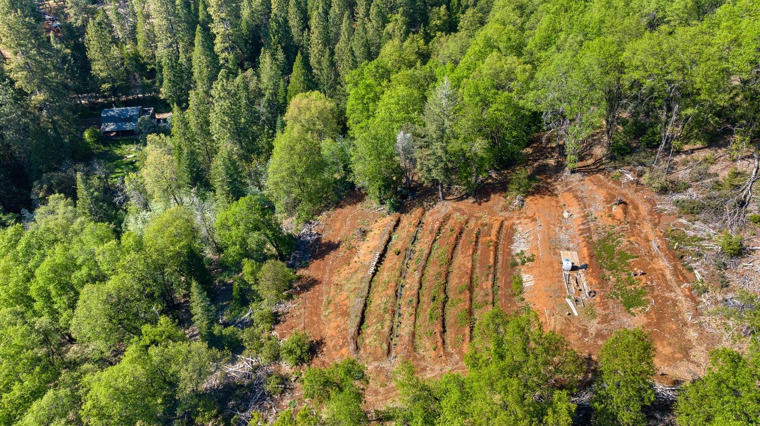 Detail Gallery Image 36 of 82 For 19803 Cooper Road, Nevada City,  CA 95959 - 2 Beds | 2 Baths