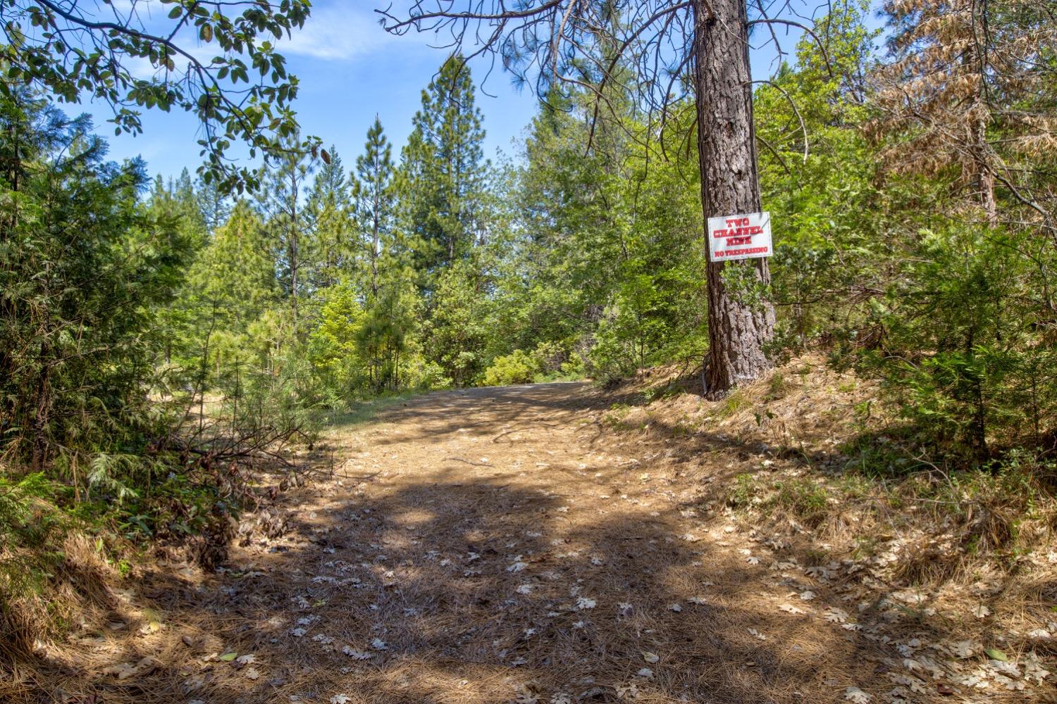 Kentucky Flat Road, Georgetown, California image 13