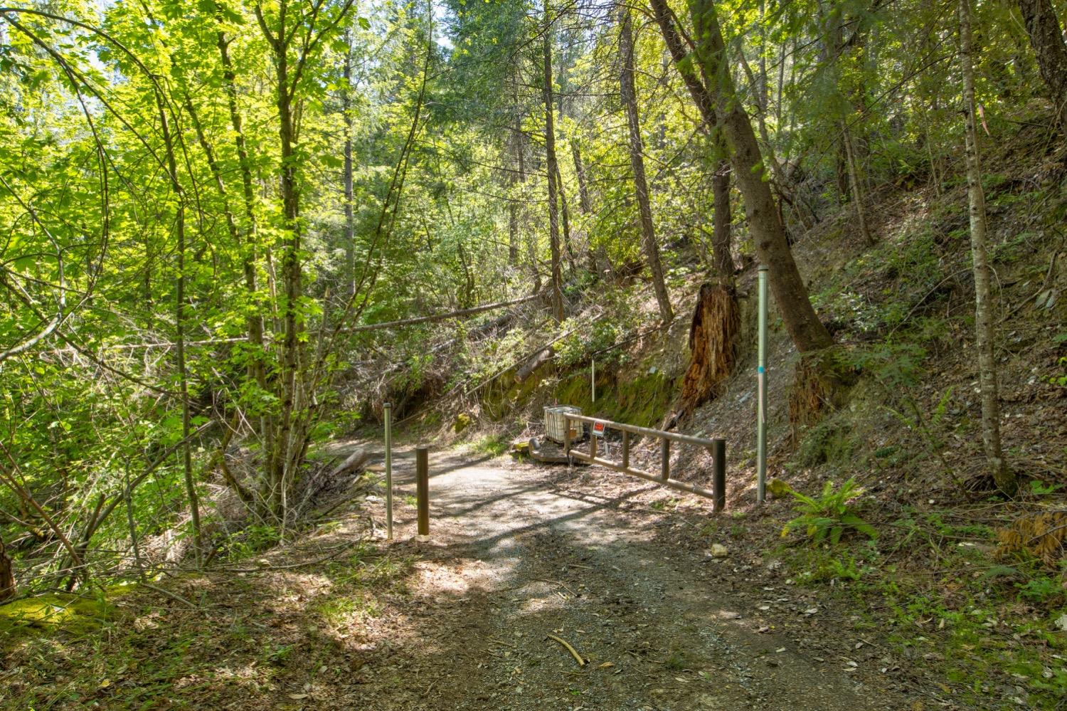 Kentucky Flat Road, Georgetown, California image 3