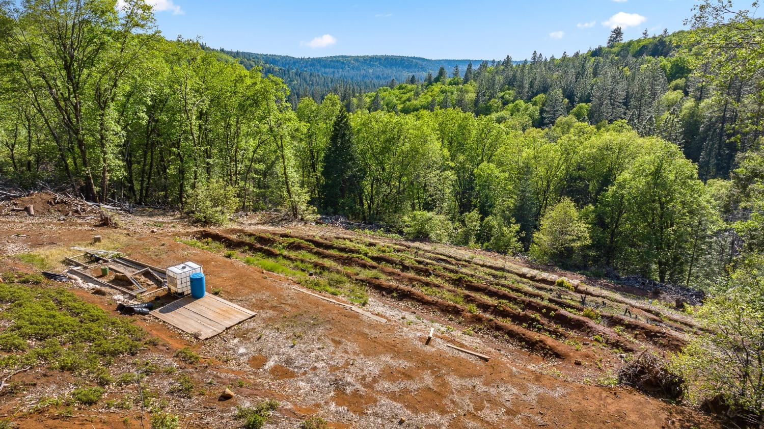 Detail Gallery Image 6 of 82 For 19803 Cooper Road, Nevada City,  CA 95959 - 1 Beds | 2 Baths